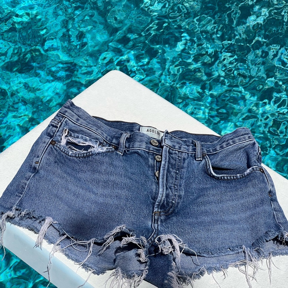 Agolde Parker Shorts